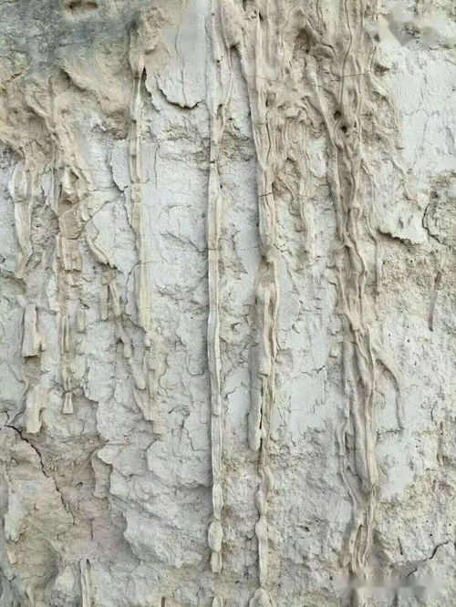 “屋漏痕”是一种什么样的用笔技法?