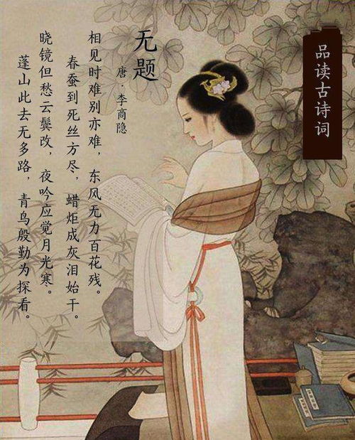 长恨歌一共多少句，青鸟殷勤为探看还是青鸟殷勤为探看