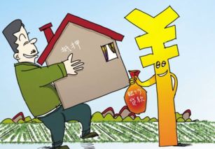 “提供”的正确读音是什么?