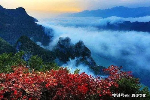 古来万事东流水,别君去兮何时还，古来万事东流水全诗