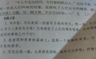 迷人的月亮作文500字，月亮作文500字抒情