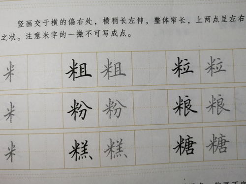 舟偏旁组成新字，舟偏旁组词