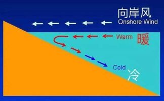 密度流上升流风海流分别有哪些