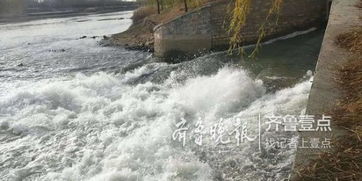 河床是什么意思
