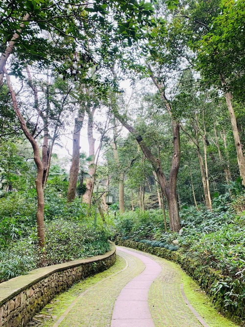 曲径通幽一词出自唐代诗人谁的题破山寺后禅院
