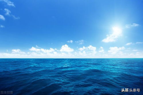 大海大海像什么长了