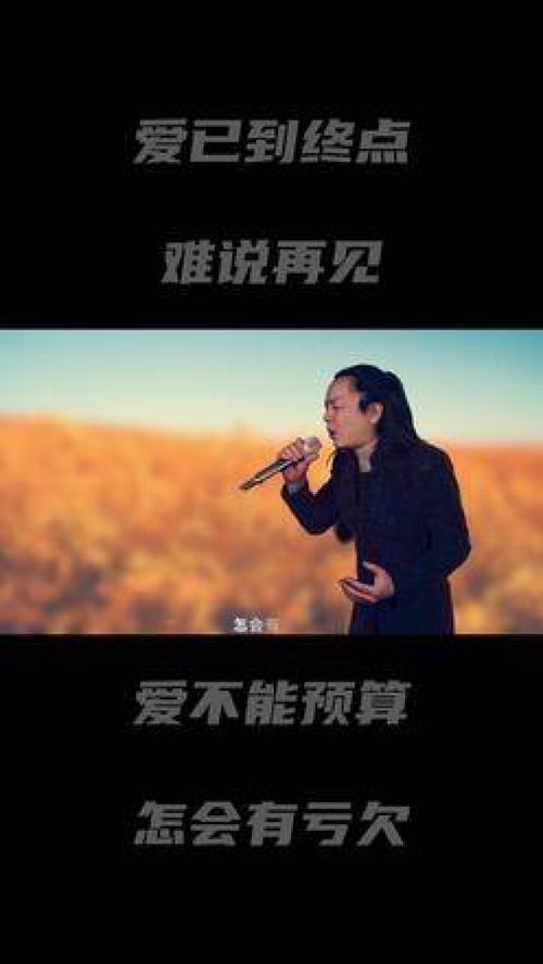 难说再见难说爱免费阅读，难说再见难说爱祁锦年陆希月