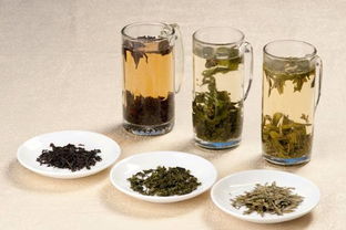 盛伏舍茶的意思出自吴伯箫的《灯笼》