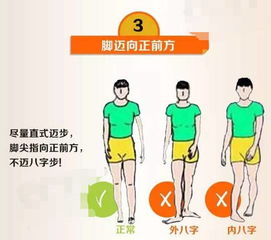 总而言之的高级表达，总而言之就是可爱