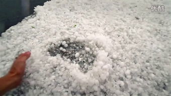 greener是什么品牌，greener怎么读