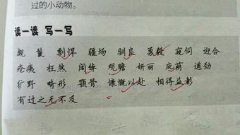 七年级下册语文词语解释全部，七年级下册语文成语积累