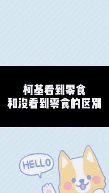 优秀的网站设计软件设计人员必备