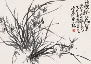 慧根技能，慧根深厚的女人