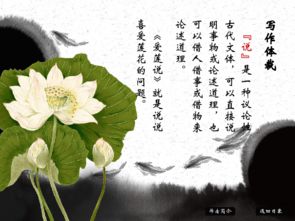 爱莲说的作者是什么朝代的，爱莲说的作者是哪个朝代