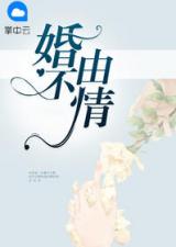 青春小说言情，青春小说书名