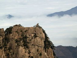 猴子观海在哪座山峰上，猴子观海海拔多少米
