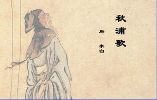 秋浦歌其十，秋浦歌其一诗意