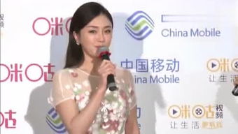 敏慧和辛旗，敏慧是谁演的