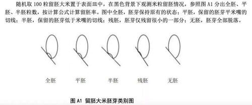 挑选的近义词，挑选用英语怎么说