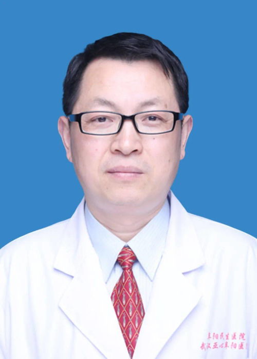 杨锋林若彤免费阅读小说，杨锋与林若彤小说在线阅读全文