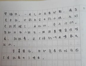 写人的作文450字5篇