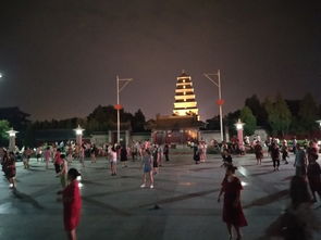 西北望长安长安指哪里，西北望长安后一句
