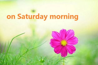 早晨英语怎么说morning?