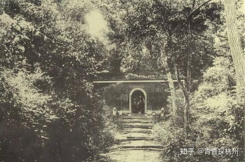 虎跑寺弘一法师，虎跑寺与灵隐寺