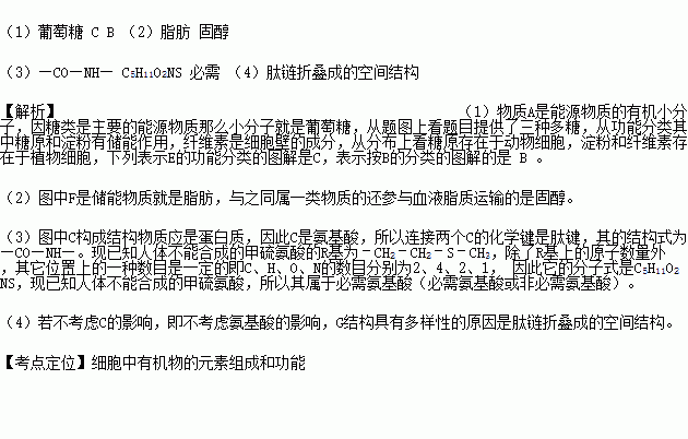 非必需氨基酸口诀，非必需氨基酸人体不能合成吗
