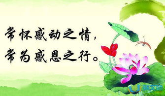 别样的感动500字，别样的感触