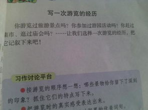 特别的经历作文500字寒假，特别的经历作文500字四年级