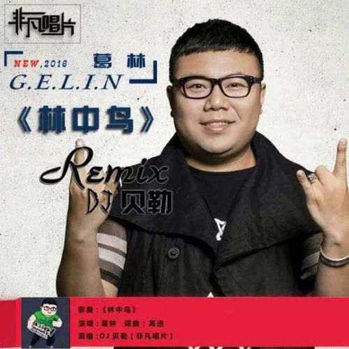 林中鸟歌词的意思，林中鸟歌词表达什么意思