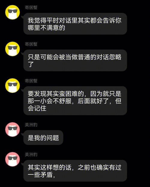 悠悠cc有后续是什么意思，正规专后续是什么意思