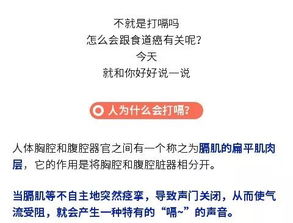 综上所述是什么意思