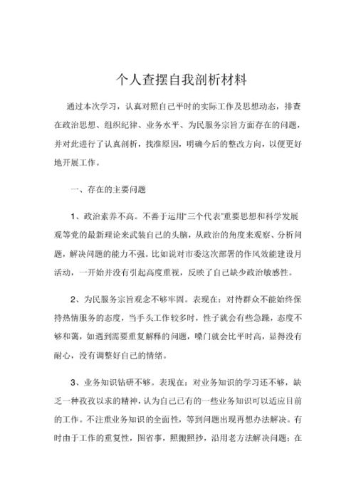 查摆剖析材料(2篇)
