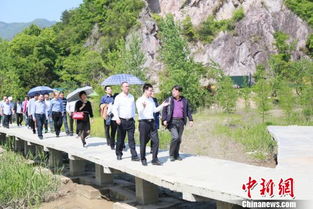 乡贤是什么意思?