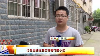 东秦是哪个朝代