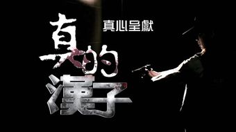 真的汉子刘德华甄子丹，真的汉子歌曲林子祥