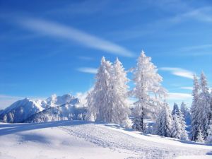 关于雪的歌曲大全100首，霉霉关于雪的歌