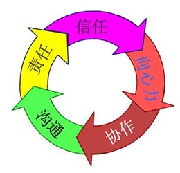 向心凝聚力是什么意思，团队缺乏凝聚力是什么意思