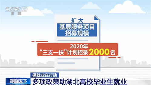湖北大学联系方式是什么