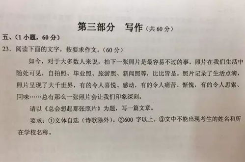 不一样的我学生作文
