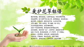 保护环境的口号标语