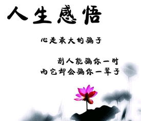 感慨人生的句子 对人生感悟的经典句子