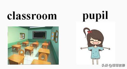 pupil是什么意思?