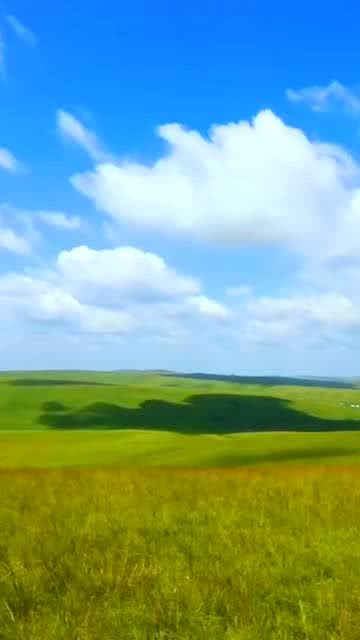 绿草在古代怎么说