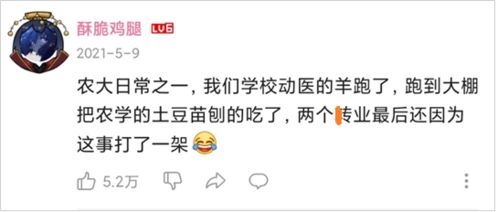 付之一炬成语的意思