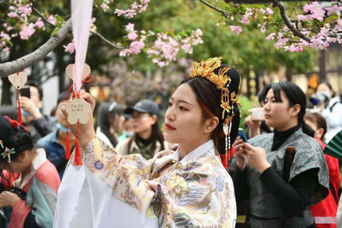 挑菜节的读音挑菜节的读音是什么