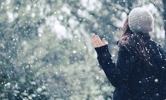 好听的雪花歌曲10首