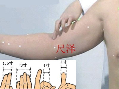 尺泽的神奇功效与作用，尺泽位置